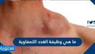 ما هي وظيفة الغدد اللمفاوية … اسباب تورم العقد اللمفاوية وطريقة علاجها