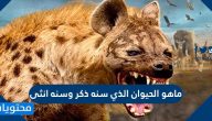 ماهو الحيوان الذي سنه ذكر وسنه انثى