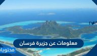 معلومات عن جزيرة فرسان .. سبب تسميتها وأهم المعالم الأثرية فيها