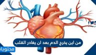 من اين يخرج الدم بعد مغادرة القلب