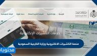 منصة التاشيرات الالكترونية وزارة الخارجية السعودية استعلام عن طلب