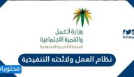 نظام العمل ولائحته التنفيذية .. تحميل اللائحة التنفيذية لنظام العمل