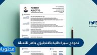 نموذج سيرة ذاتية بالانجليزي جاهز للتعبئة