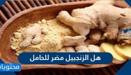 هل الزنجبيل مضر للحامل .. فوائد زيت الزنجبيل