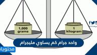 واحد جرام كم يساوي مليجرام