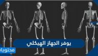 ماذا يوفر الجهاز الهيكلي .. اهمية الهيكل العظمي للانسان