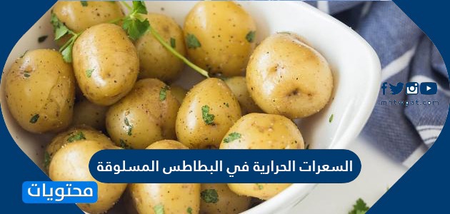 السعرات الحرارية في البطاطس المسلوقة والمقلية وفوائدها بالتفصيل موقع محتويات
