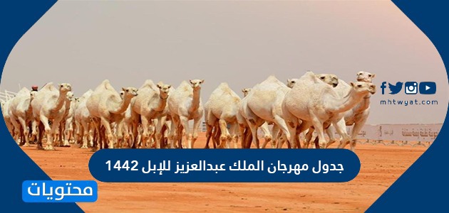 جدول مهرجان الملك عبدالعزيز للإبل 1442 موقع محتويات
