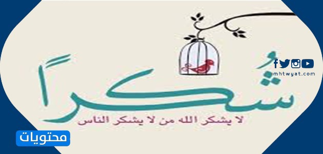 عبارات شكر لقائدة المدرسة