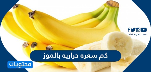 كم عدد السعرات الحرارية في موقع محتويات الموز