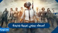 اسماء ببجي عربية جديدة 2025