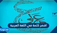  ما هي اقصر كلمة في اللغة العربية