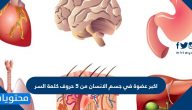 اكبر عضوة في جسم الانسان من 5 حروف كلمة السر