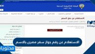 الاستعلام عن رقم جواز سفر مصرى بالاسم