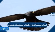 الغراب ودوده الارض والعقاب مستهلكات تسمى
