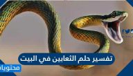 تفسير حلم الثعابين في البيت