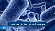 تنتج بكتيريا e.coli التي تعيش في امعاء الانسان