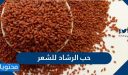 حب الرشاد للشعر … وصفات بذور الرشاد للعناية بالشعر