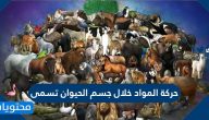 حركة المواد خلال جسم الحيوان تسمى