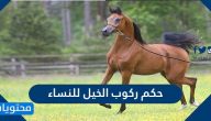 حكم ركوب الخيل للنساء