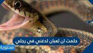 ما تفسير حلمت ان ثعبان لدغني في رجلي