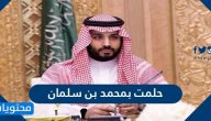 تفسير حلمت بمحمد بن سلمان بالتفصيل