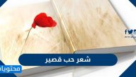 شعر عن الحب قصير لأشهر شعراء العصر القديم والحديث