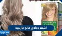 طريقة استخدام صبغة اشقر رمادي فاتح غارنييه وكم سعرها في السعودية