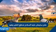علم سليمان عليه السلام منطق الطير وهو