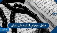 فضل سورتي البقرة وآل عمران