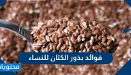 فوائد بذور الكتان للنساء وللتنحيف