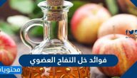 فوائد خل التفاح العضوي وطريقة استخدامه