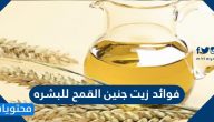فوائد زيت جنين القمح للبشره .. فوائد زيت جرثومة القمح للشعر