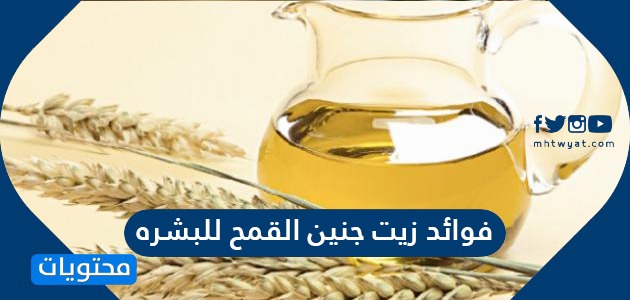 فوائد زيت جنين القمح للبشره .. فوائد زيت جرثومة القمح للشعر