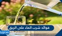 فوائد شرب الماء على الريق .. أضرار شرب الماء على معدة فارغة
