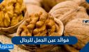 فوائد عين الجمل للرجال وللاطفال