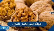 فوائد عين الجمل للرجال وللاطفال