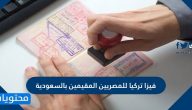 فيزا تركيا للمصريين المقيمين بالسعودية 2025