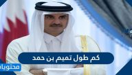 كم طول تميم بن حمد أمير دولة قطر
