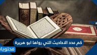 كم عدد الاحاديث التي رواها ابو هريرة
