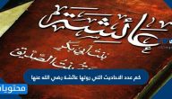 كم عدد الاحاديث التي روتها عائشة رضي الله عنها