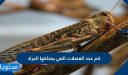 كم عدد العضلات التي يمتلكها الجراد