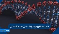 كم عدد الكروموسومات في جسم الانسان