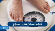 كيف اسمن في اسبوع واطعمة هامة تساعد في زيادة الوزن