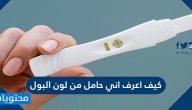 كيف اعرف اني حامل من لون البول
