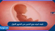 كيف اعرف نوع الجنين من الشهر الاول