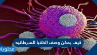 كيف يمكن وصف الخلايا السرطانية
