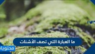 ما العبارة التي تصف الأشنات