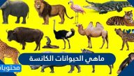 ما هي الحيوانات الكانسة