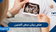 متى يبان نبض الجنين بالتحديد